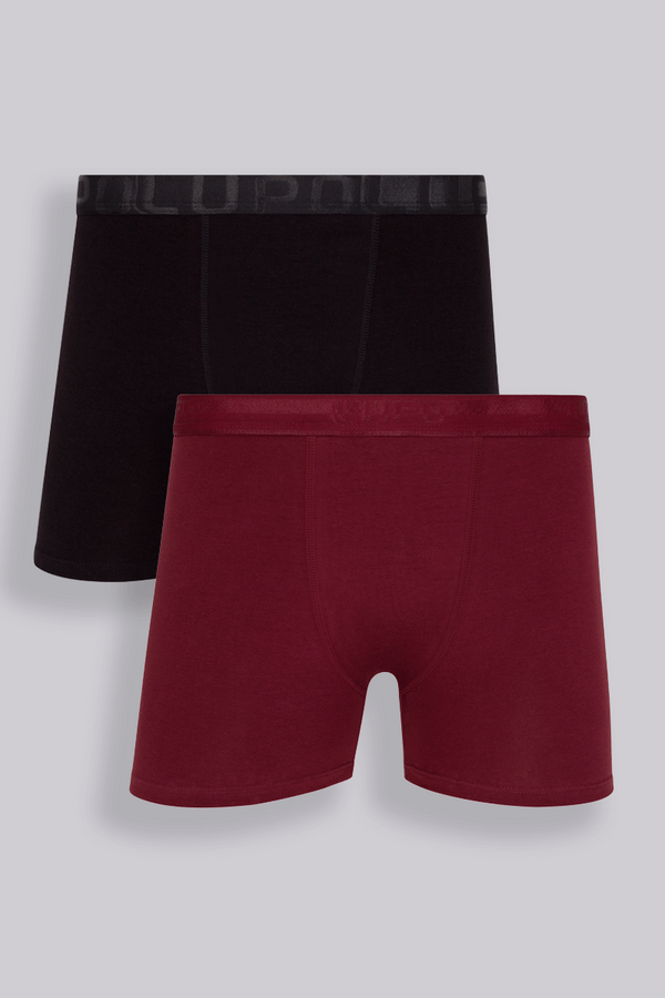 Kit com 2 Cuecas Boxer Algodão Elastano Cós Discreto Lupo