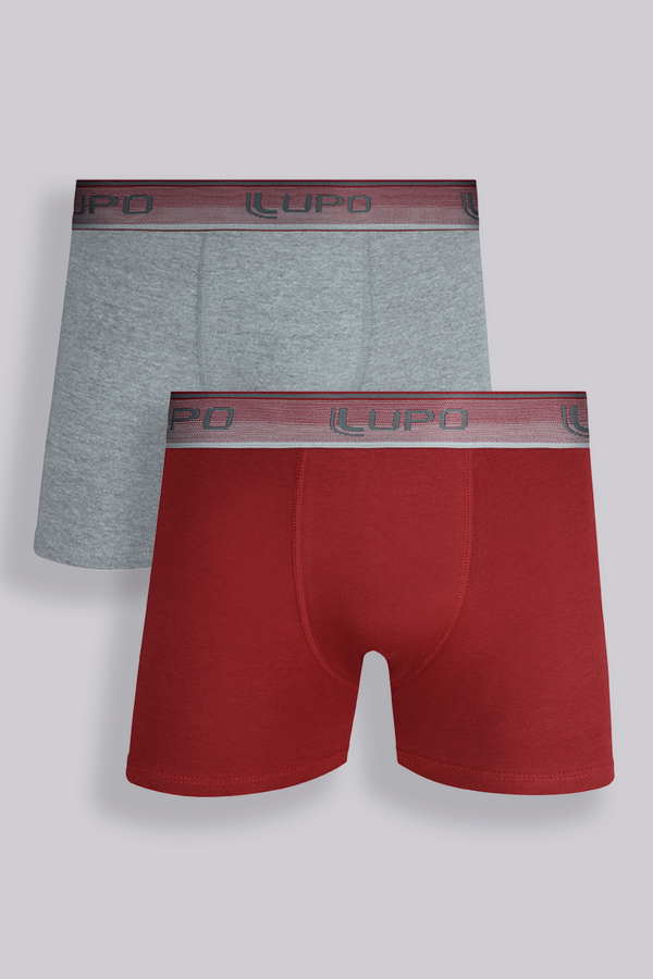 Kit com 2 Cuecas Boxer Algodão Elastano Cós Discreto Lupo